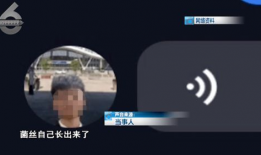 蘑菇视频在线看,在线观看的视听盛宴